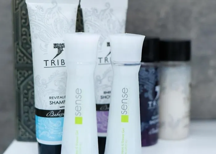 Next -hf- Mamaia Nord Năvodari